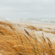 Scenic view of the Baltic Sea coastline featuring a sandy beach and calm coastal waters