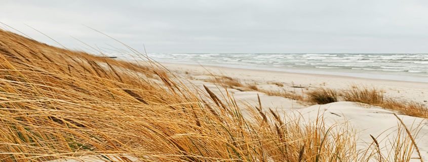 Baltic-Sea-Coastline-With-Sandy-Beach-and-Ocean-View Scenic view of the Baltic Sea coastline featuring a sandy beach and calm coastal waters