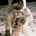 Apollo 11 astronaut Buzz Aldrin walking on the lunar surface on July 20, 1969, photographed by Neil Armstrong during the first Moon landing