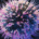 Microscopic-style illustration of coronavirus particles representing the SARS-CoV-2 virus responsible for COVID-19