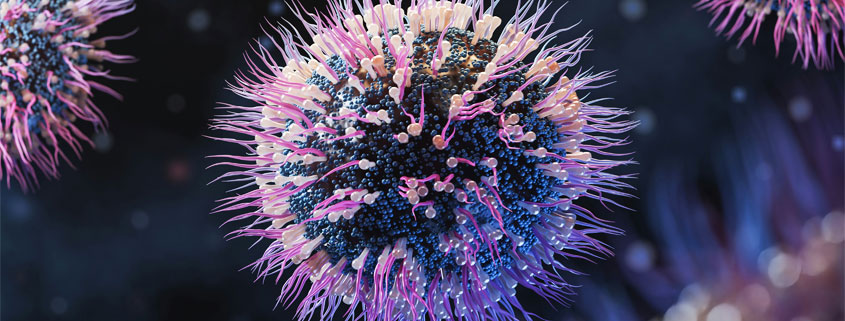 COVID-19-Coronavirus-Particles-Microscopic-Illustration Microscopic-style illustration of coronavirus particles representing the SARS-CoV-2 virus responsible for COVID-19