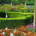 Outdoor garden featuring colorful flowering plants, landscaped flower beds, and lush green lawn areas