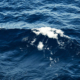 Deep blue ocean surface with powerful rolling waves and intense patterns of moving seawater