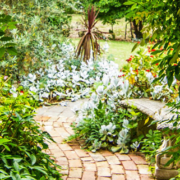 Peaceful garden pathway leading toward a bench surrounded by beautiful plants and lush greenery
