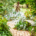Peaceful garden pathway leading toward a bench surrounded by beautiful plants and lush greenery