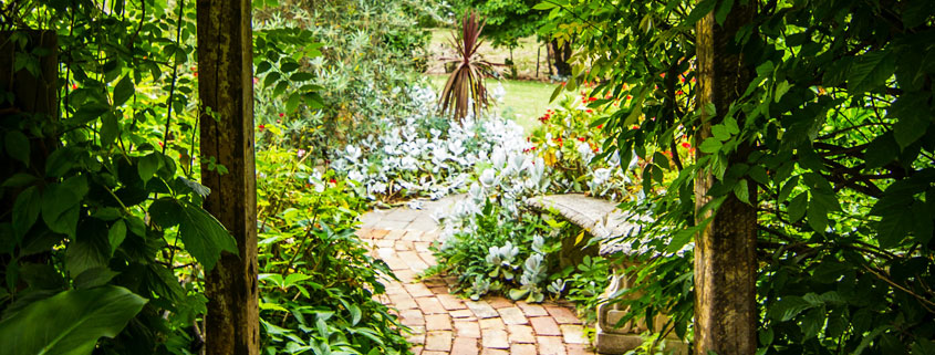 Peaceful garden pathway leading toward a bench surrounded by beautiful plants and lush greenery