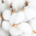 Cluster of fluffy white cotton bolls emerging from opened seed pods, with dried sections of the cotton plant still attached