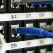 Ethernet network cables connected to numbered ports on networking equipment used for server and network communications
