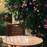 Small garden with an outdoor table and chairs, a wall covered in climbing roses, and a water fountain in the background
