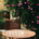 Small garden with an outdoor table and chairs, a wall covered in climbing roses, and a water fountain in the background