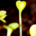 Young wildflowers and fresh green sprouts growing together in a spring garden