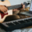 Woman sitting on a bed and playing an acoustic guitar with a piano and laptop positioned in front of her