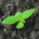 Small green plant with several fresh leaves emerging from the soil, illustrating healthy plant growth and the importance of fertile earth